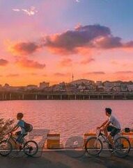 皇冠足球及时比分-皇冠足球及时比分，球迷的实时信息宝库与赛事激情催化剂