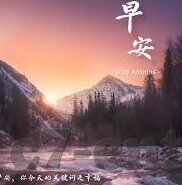 足球比分直播18-足球比分直播18，一场视觉与数据的双重狂欢